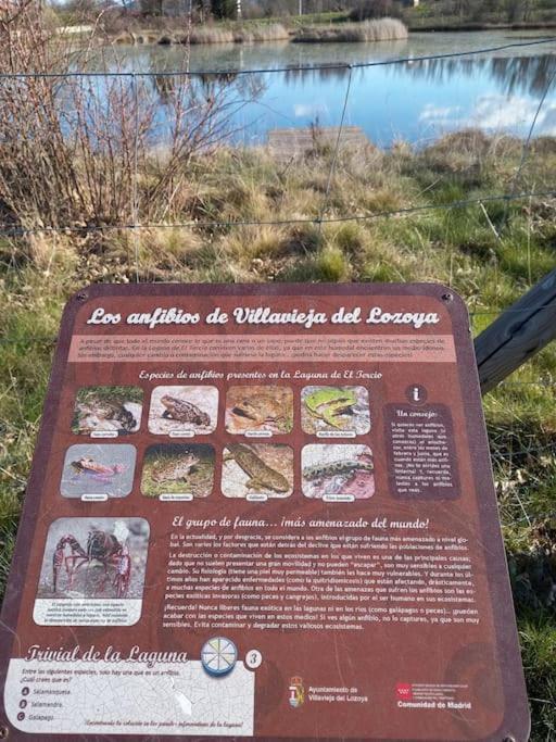 Casita Con Encanto Tranquilidad Villavieja Del Lozoya Wi-Fi En Sierra De Madrid Y A 50 Minutos De Capital Zewnętrze zdjęcie